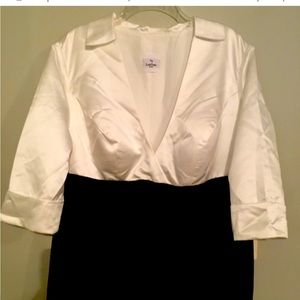 NWT Simply Elegant & Luxurious A-Line Formal Dress Floor Length